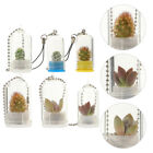 Mini-Glas-Terrarium-Schlüsselanhänger mit Sukkulenten-Kaktus-Pflanzen