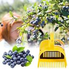 with Comb Fruit Picker Portable Berry Collection Harvester  Garden