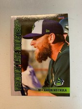 Aaron Nieckula Card 2018 Vermont Lake Monsters Team Card