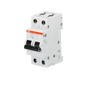 Interruptor Disyuntor S 202 M D10 2P 10kA (S600477) - Imagen 1 de 1