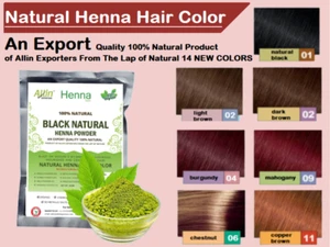 HENNA FOR HAIR, NATURAL HAIR COLOR - CHEMICAL FREE HAIR COLOR - THE HENNA GUYS - Picture 1 of 15