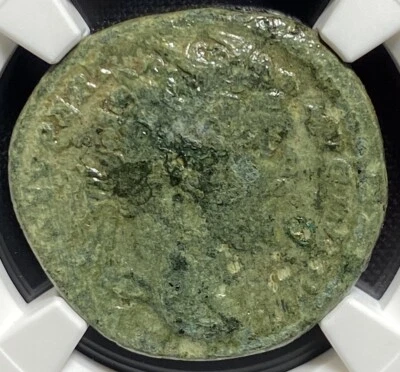 Sept Severus 193-211 AD, Roman Empire AE Dupondius Coin, GREAT COLOR, Scarce NGC - Image 1 of 4