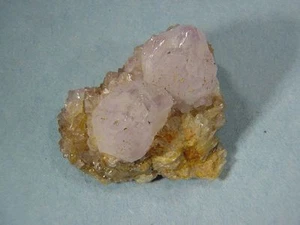 ABERW Natürlicher Kaktus Amethyst Kristall Cluster Lapidar Display Specimen 7666C - Bild 1 von 1