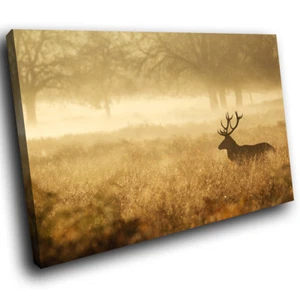 A628 Mist Forest Stag Fog Grass Funky Animal Canvas Wall Art Large Picture Print - Picture 1 of 6