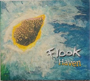 FLOOK ~ Haven ~ World Pop ~ Celtic Folk ~ Instrumental ~ CD ~ Tested ~ Nice! - Picture 1 of 12