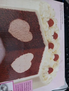 Wilton Herz Lecker Füllung Kuchenform Set 8,25 Zoll mal 2,25 Zoll mit Anleitung Gebraucht - Bild 1 von 2