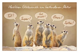 Abitur - Prüfung - Glückwunschkarte im Format 11,5 x 17 cm mit Briefumschlag - Bild 1 von 1