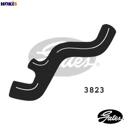 RADIATOR HOSE 3823 - Image 1 of 4