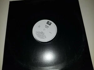 RAKIM - ALL NIGHT LONG / UPLIFT - UNIVERSAL 1664 - VINYL LP - Imagen 1 de 3