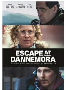 Escape at Dannemora DVD - Patricia Arquette *CLEARANCE* - Picture 1 of 1