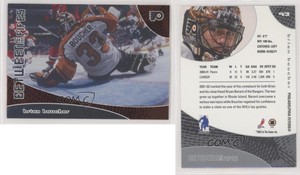 2001-02 ITG Be A Player Between the Pipes Brian Boucher #93
