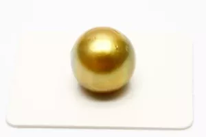 Perla dei mari del sud sciolta entrambi i fori 14 mm colore oro naturale - Foto 1 di 3