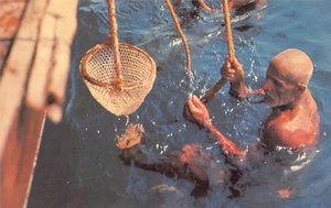 Bahrein - Pearl Diver - Publ. Falcon Cinephoto - Imagen 1 de 2