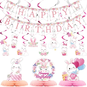 26 Pcs Easter Bunny Birthday Party Decorations Kit Supplies Bunny Birthday Banne - Picture 1 of 12
