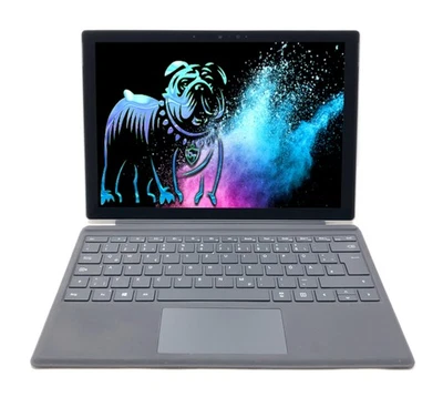 Microsoft Surface Pro 7 12,3" Convertible Touch 2,7K i5-1035G4 8GB 128GB IR W11P - Bild 1 von 4