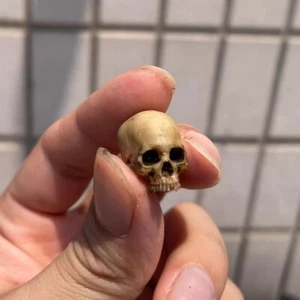 1/12 Scale Human Beings Skeleton PVC Model for 6" Action Figure Accessory Toy US - Picture 1 of 34