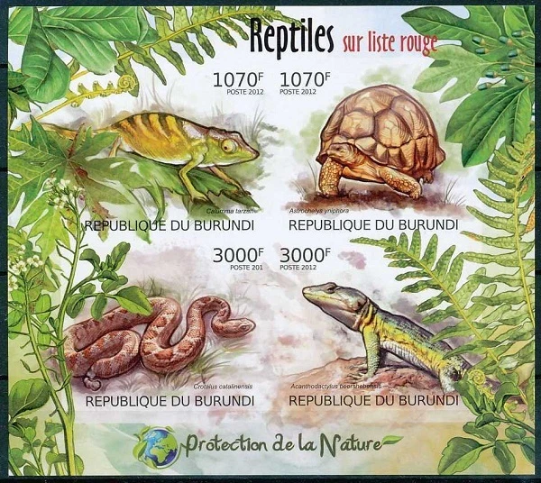 Snake, Tortosie, Reptiles, Protect Nature, BURUNDI 2012 MNH Imperf SS  - Image 1 of 1