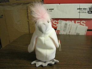 1998 TY BEANIE BABY--KUKU--AGES 3 AND UP--BOYS AND GIRLS - Picture 1 of 10