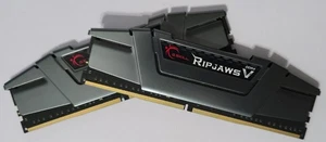 G. SKILL 16 GB (2 x 8 GB) PC4-25600 (DDR4-3200) memoria (F4-3200C16D-16GVGB) - Foto 1 di 2