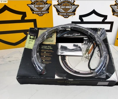 OEM Harley Fatboy Heritage Softail E-Glo Luz Anillo de Fuego Rueda Freno Foto 1 de 4
