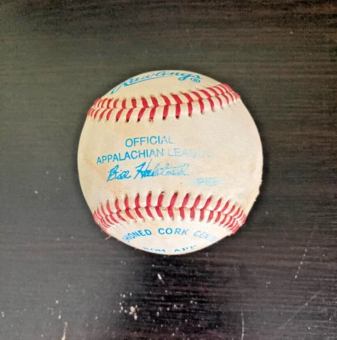 Rawlings Vintage  Minor League Baseball Appalachian  League  Ben Halstead Cover