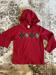 NWT BOYS GYMBOREE LONG SLEEVE TEE SHIRT WITH HOOD SIZE 5T - Picture 1 of 2