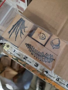 Lot of 4 plants nature grass leaf acorn rubber stamps #32 - Picture 1 of 2