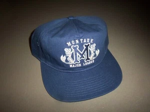 CONEY ISLAND PICNIC BLUE MONTAUK MAJOR LEAGUE SNAPBACK HAT - NEW - Picture 1 of 3