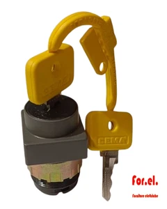 CEMA SISTEMA 080 INTERRUTTORE QUADRATO  1 POSIZIONE CON CHIAVE GIALLA - Imagen 1 de 1