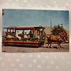 Horsedrawn Trolley postcard trains Edaville Railroad South Carver Massachusetts