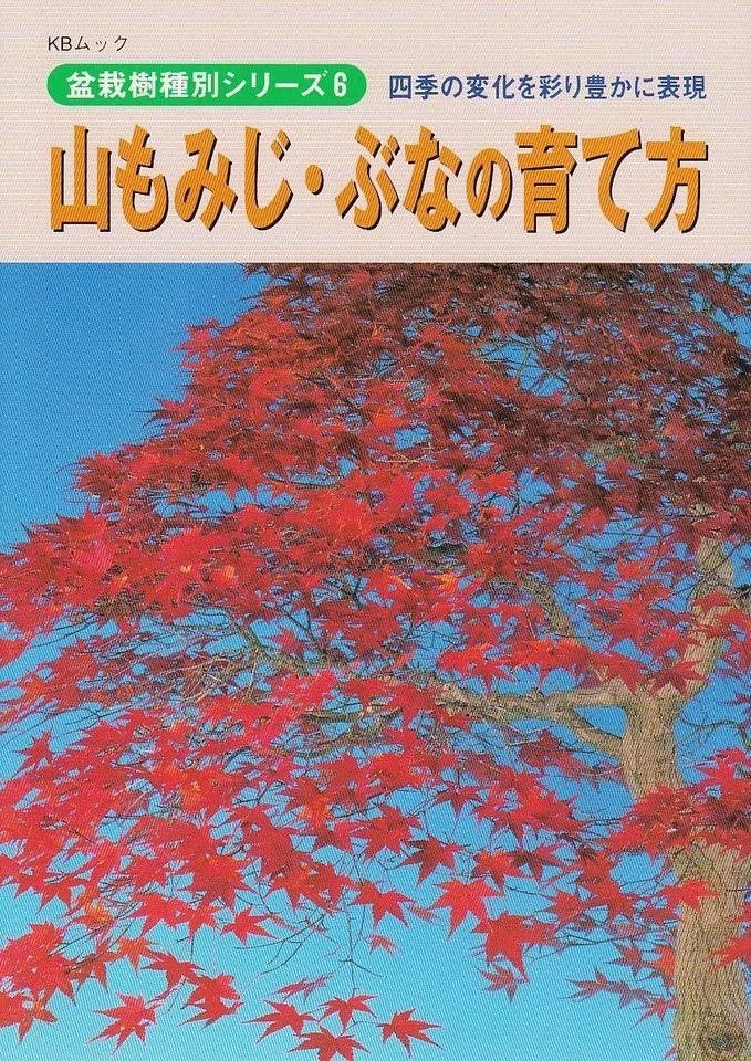 How to Grow Mountain Maples and Beech Trees: Colorfully Expressing the Changing - Image 1 of 1