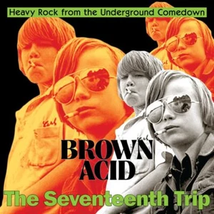 Various Artists Brown Acid - The Seventeenth Trip (CD) (US IMPORT)