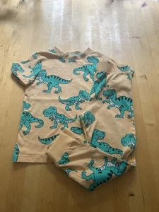 Boys Dinosaur Pyjamas Age 4/5 From F&F - Picture 1 of 3