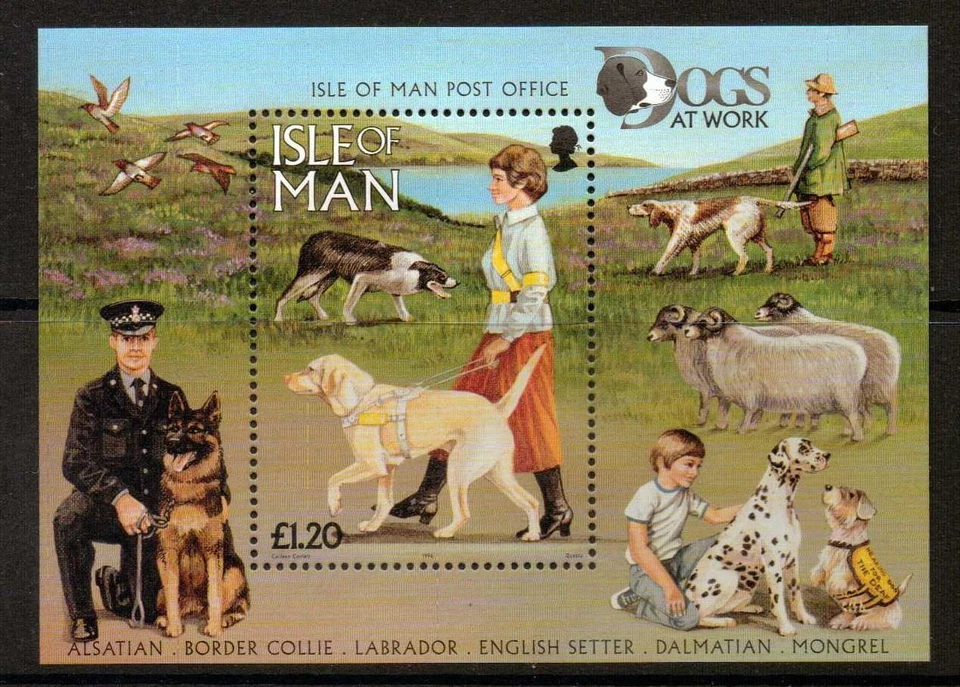 ISLE OF MAN SGMS725 1997 DOGS MNH - Image 1 of 1