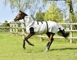 BUSSE Ekzemerdecke STRONG Fliegendecke Weidedecke 3 Farben alle Größen 603019 - Bild 1 von 14