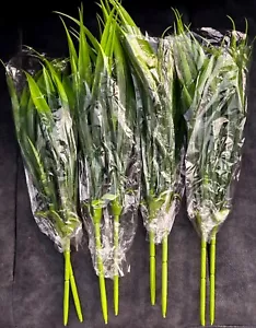 8 pcs Artificial Grass Plants - $14.99 Only - Picture 1 of 9