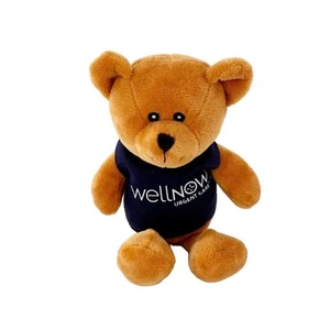 Wellnow Urgent Care Teddy Bear Plush 9" Collectible Brown Steven Smith Hoodie - Picture 1 of 11