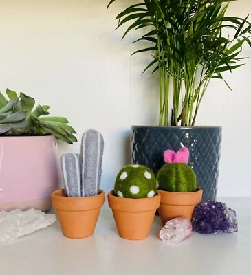 LITTLE WOOLLY SHEEP Neu - No stricks veganes Kaktus Set - alles was man braucht um seinen eigenen Kaktus zu machen