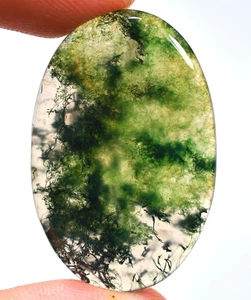 Piedra preciosa cabujón ovalado ágata ópalo musgo verde natural 32 quilates 4x24X37 mm CW-34 - Imagen 1 de 1