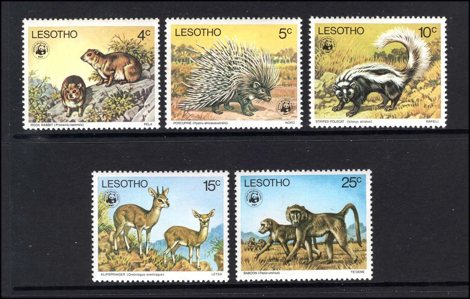 Juego de animales M27853 Lesotho 1977 X5 sin montar como nuevo Sg 329-33 gato 28 £ Foto 1 de 1