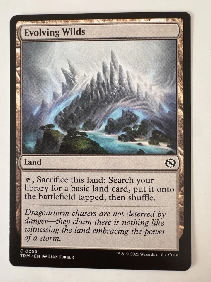 Evolving Wilds TDM NM MTG Tarkir - Image 1 of 1