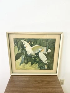 JESSIE ARMS BOTKE Vintage (50s) Cockatoos Avocado Lithograph. - Picture 1 of 16
