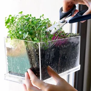 Clear Plant Pot Household Window Box Planter for Office Windowsill Courtyard - Picture 1 of 6