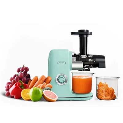 Hazel Quinn Masticating Cold Press Juicer Fruit Vegetable Mint Green Easy Clean
