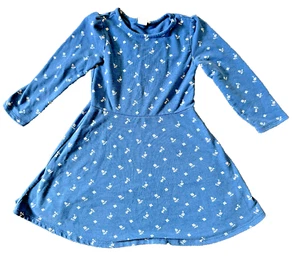 baby GAP Girls longsleeve dress Size 5 Years Blue Floral GUC - Picture 1 of 5