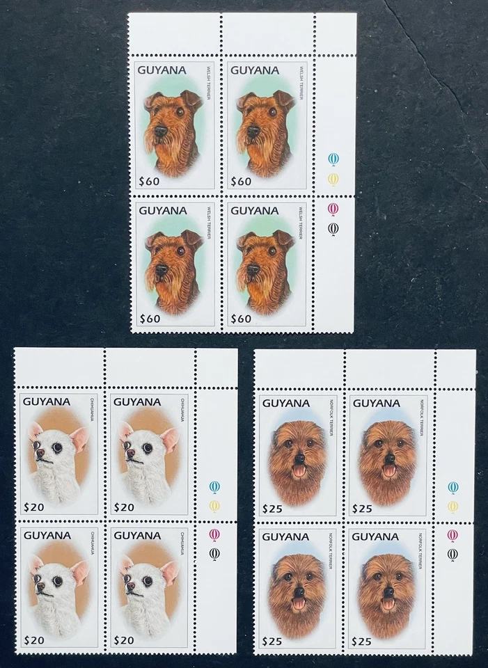 GUYANA DOGS BLOCKS OF 4 STAMPS MNH 1997 CHIHUAHUA WELSH TERRIER NORFOLK DOG PET - Image 1 of 1