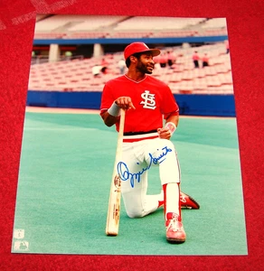 FOTO BRILLANTE 8X10 FIRMADA AUTOGRAFIADA POR OZZIE SMITH ST. LOUIS CARDINALS HOF (TW) - Imagen 1 de 1