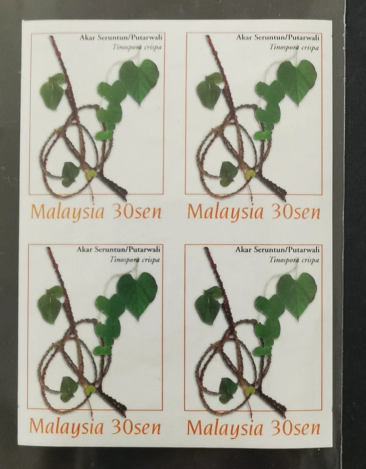 ** Malaysia 1998 Medicinal Plants 30 Sen Stamp Block 4 Imperf RARE - MNH - Image 1 of 3