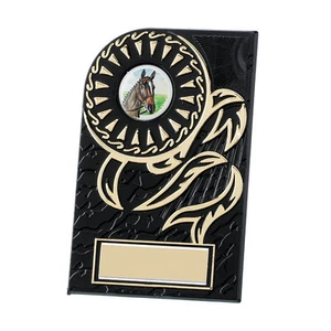 Budget Plaque Award Horse Riding, Music Cycling BMX Golf MMA FREE Engraving E150 - Picture 1 of 1