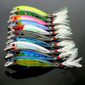 Kit de 10 señuelos de pesca Minnow Señuelos Minnow Manivela Minnow - Picture 1 of 12